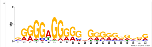 7xgSv3.png