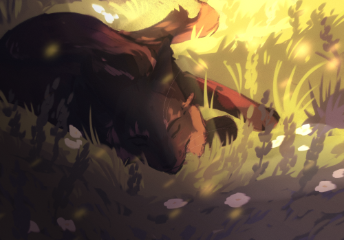 7x4Jjp.png