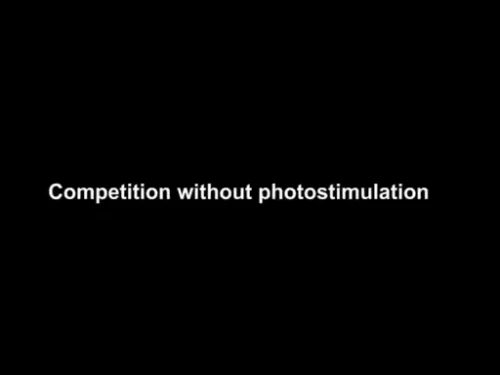 7xtYf1.webp